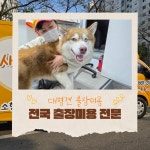 사랑할개