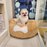 예쁘댕 오창