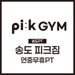 송도 피크짐 연중무휴 PT 헬스장