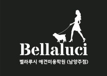 벨라루시애견미용학원 남양주점