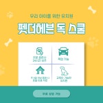 펫더헤븐 독 스쿨