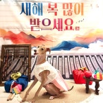 털로덮인친구들 용인죽전점