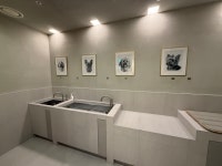 펄세이 도그 그루밍 강남삼성동본점