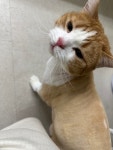 함께냥 앤 함께냥품 북수원점