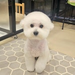 꼬로롱멍