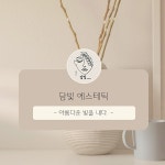 담빛에스테틱