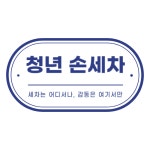 청년손세차