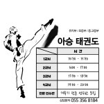 아승태권도체육관