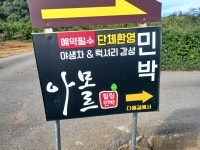 아모르