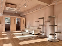 고양이호텔 에어묘앤비