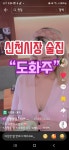 도화주