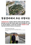영춘갈비