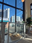 주주살롱