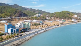비치화이트 애견가족펜션