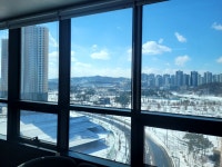 차정수행정사사무소