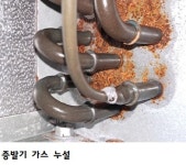 Ok냉동 eng