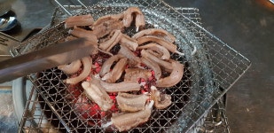 수정자갈치꼼장어