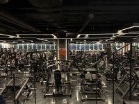 울프피트니스센터