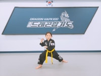 중앙드래곤합기도