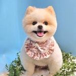 멍시앙