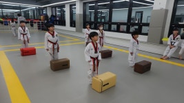 일동태권도장