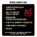 효소를담다, 효담