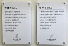 양양동물병원