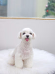 멍데이즈