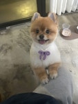 룽지 살롱