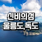 홍익여행사