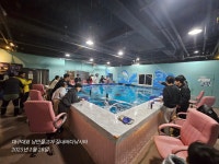 낭만물고기 실내바다낚시터