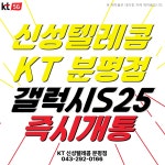 KT 신성텔레콤 분평점