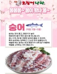 오징어나라개룡역점 | 오징어나라 삼송역점