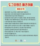 도그프렌즈
