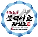 블랙이글 학익 태권도