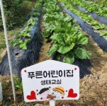 푸른어린이집