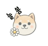 늘봄 아로마 공방with 반려견아로마테라피