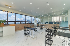 벨라루시애견미용학원 남양주점