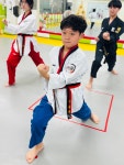 제일경희태권도