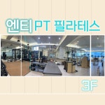 엔티 PT 필라테스 잠실