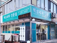 백성세탁