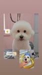 그루머엔제이