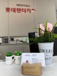 롯데렌터카 일산지점