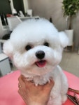 몽앤미