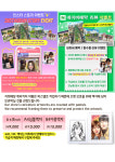 뷰티풀 캣 캐리커쳐 연남점