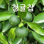 수창