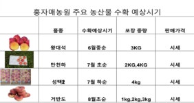 홍자매농원1