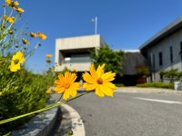 세종필드골프센터