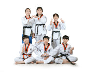 용인대참태권도장
