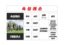 300골프